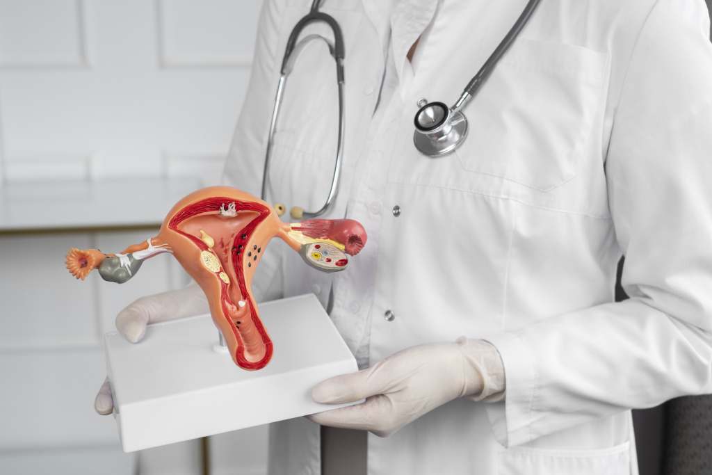 side-view-doctor-holding-anatomic-model.jpg